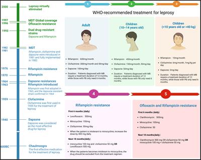 Leprosy: treatment, prevention, immune response and gene function